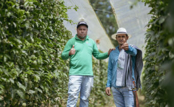 Empresa colombiana de exportación de Gulupa 13 Agrónomo y productor aliado prosagro Export
