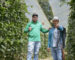 Agrónomo y productor aliado prosagro Export