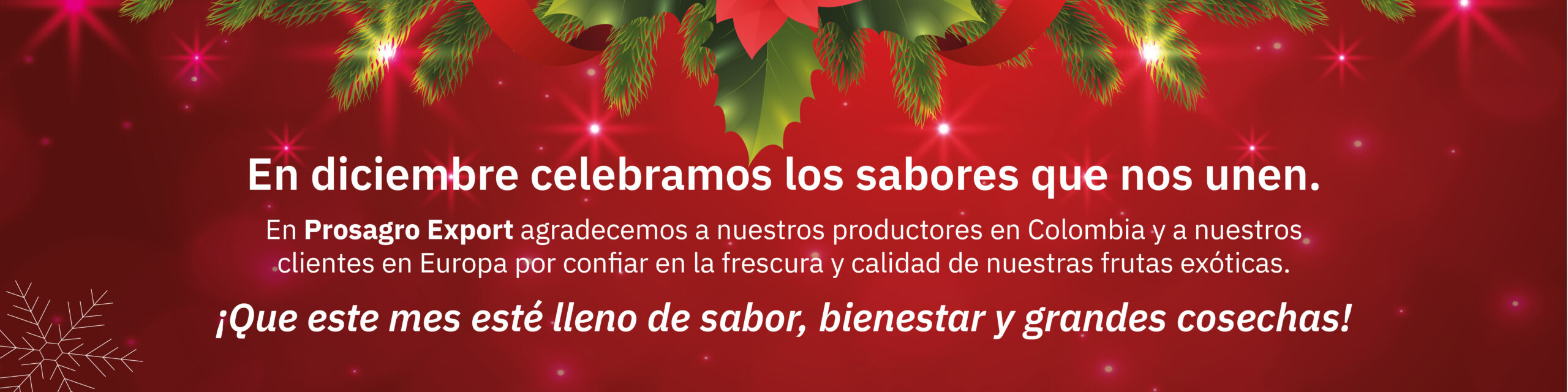 Banners prosagro navidad esp