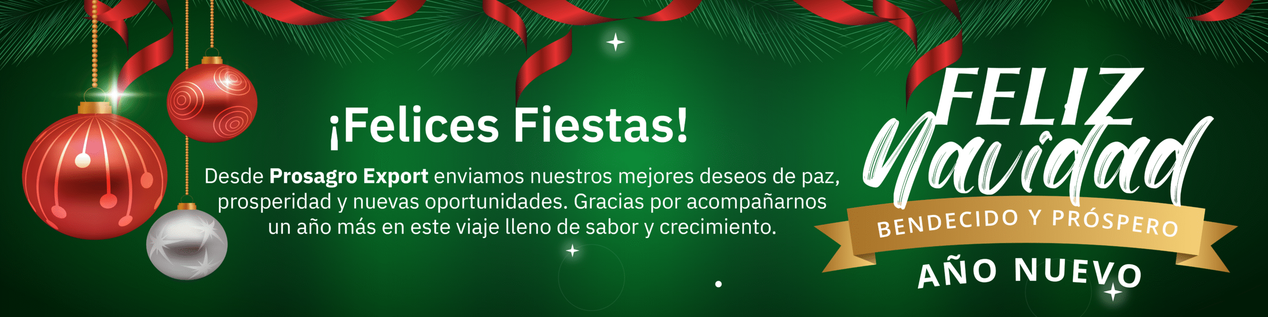 Banners prosagro nuevoano esp