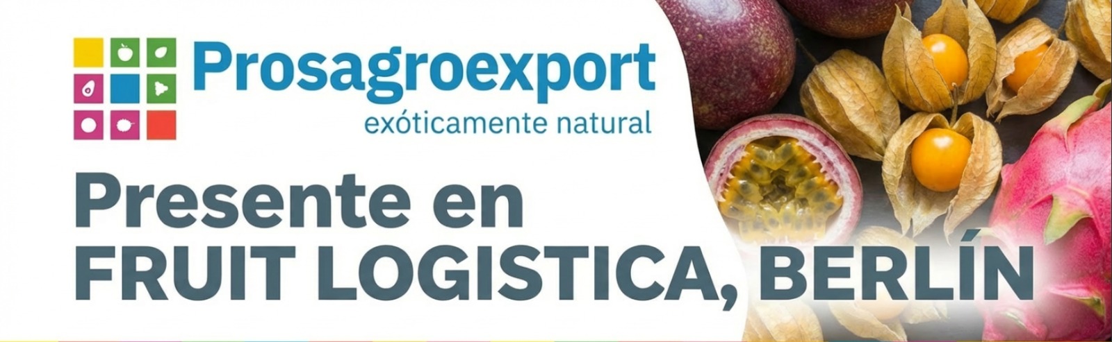 Banner feria fruit logistica
