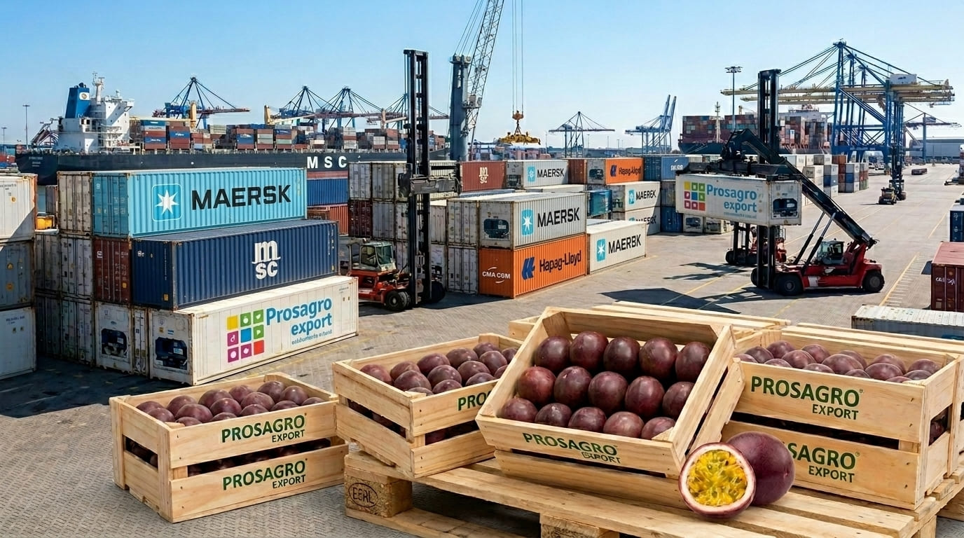 Por qué la gulupa colombiana de Prosagro Export llega a mercados internacionales exigentes 2 gulupa almacenada en contendores para su exportación internacional