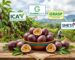 Foto de gulupa en un cultivo con las 4 certificaciones para exportación